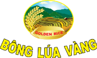 golden-rice-bong-lua-vang.png